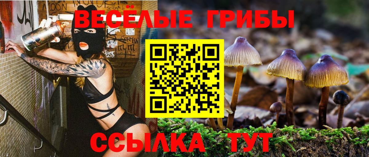 Белгород  Псилоцибиновые грибы Psilocybe  Вход с VPN 