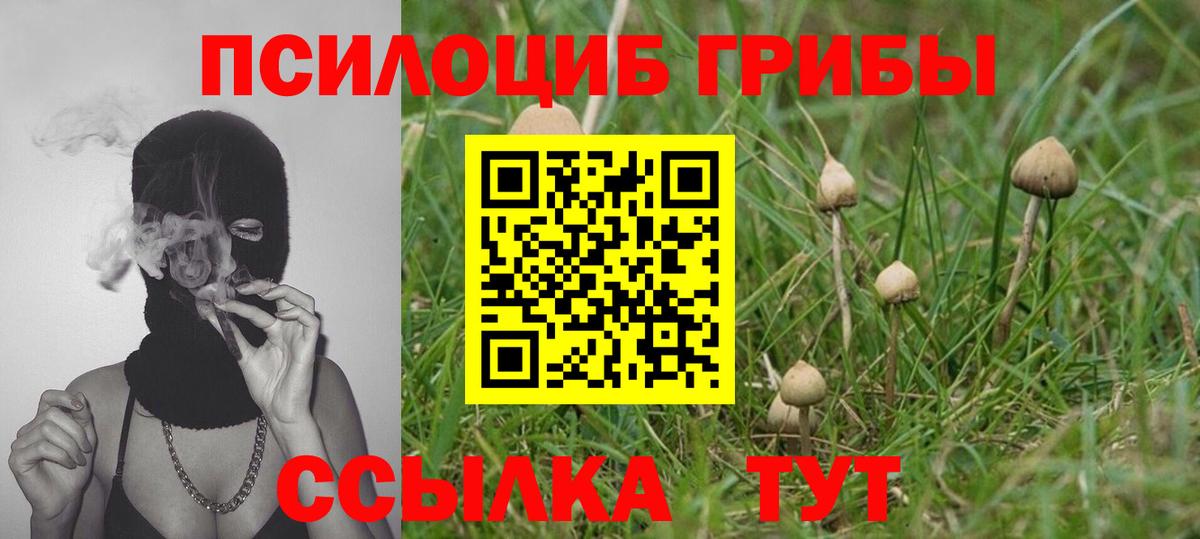 Галлюциногенные грибы Magic Shrooms Белгород